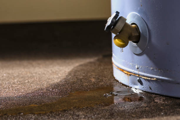 Best Fire Damage Restoration  in Gman, IL