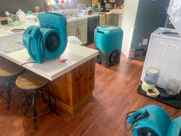 Best Water damage restoration insurance claims  in Gman, IL