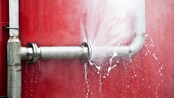 Best Professional water damage repair  in Gman, IL